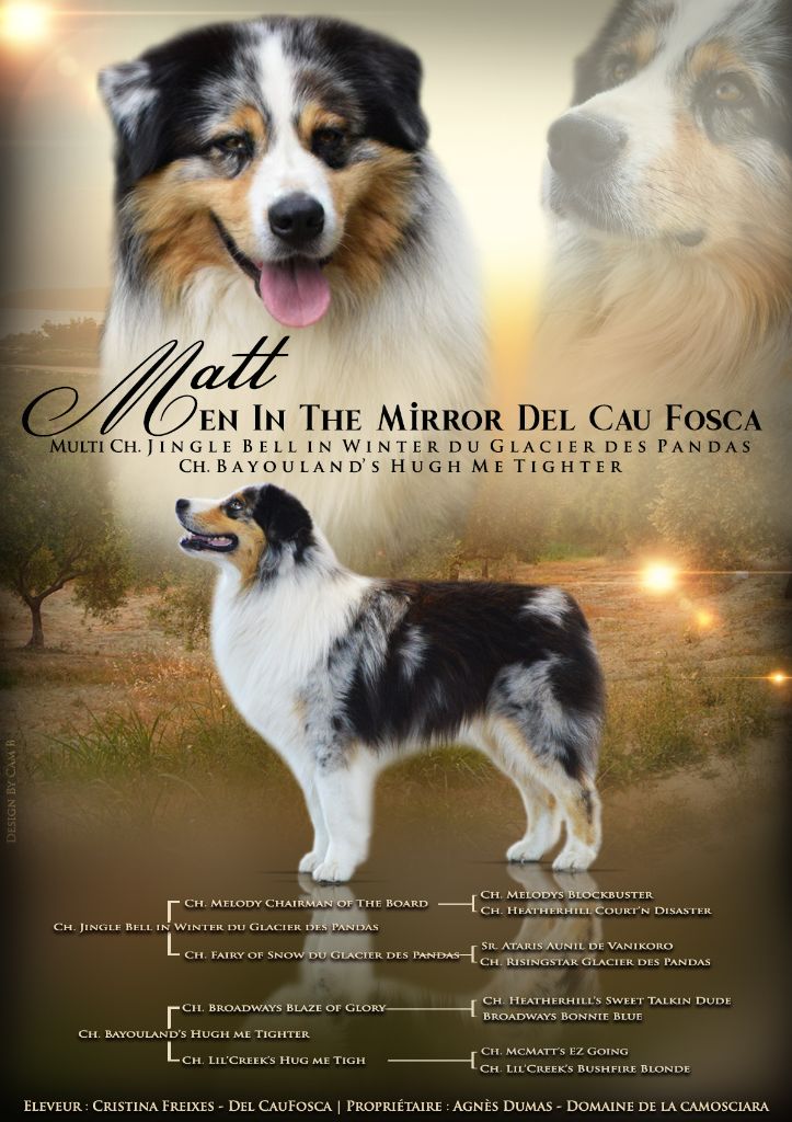 Men in the mirror de cau fosca