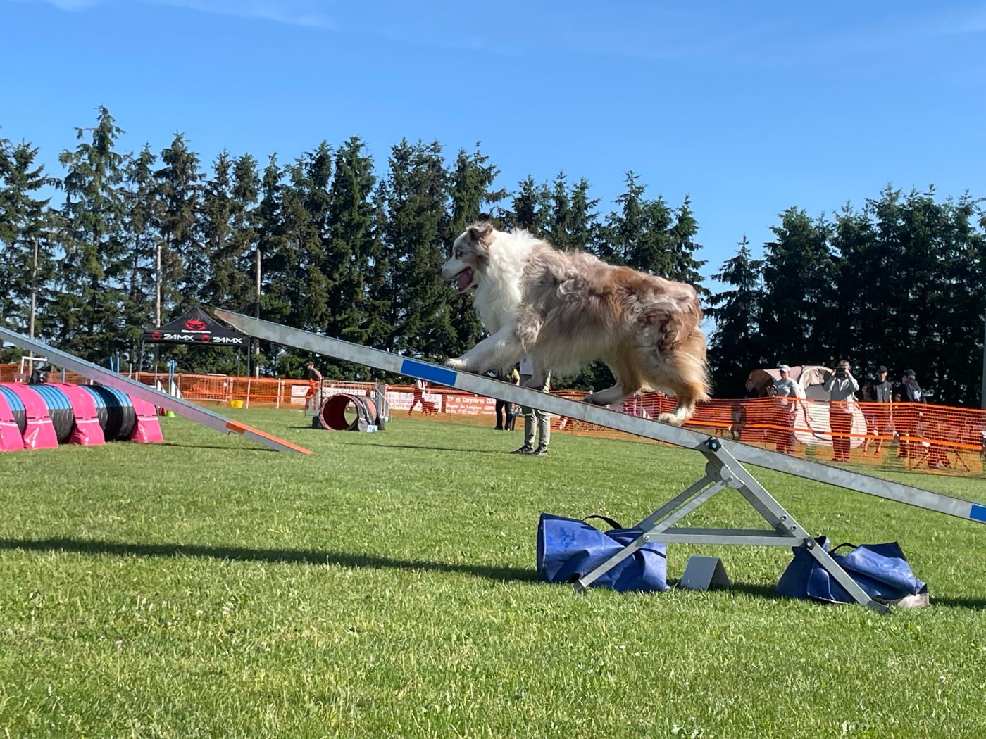 AGILITY