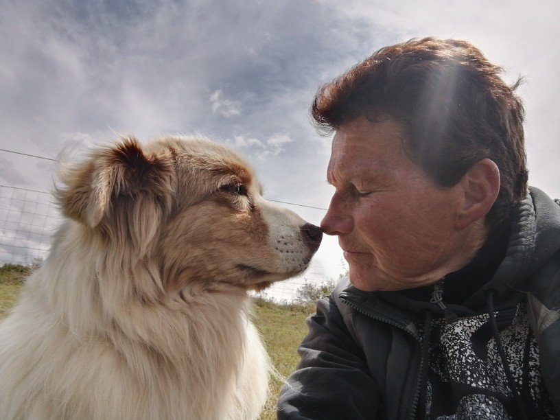 INFOS ADOPTES et FUTURS ADOPTANTS